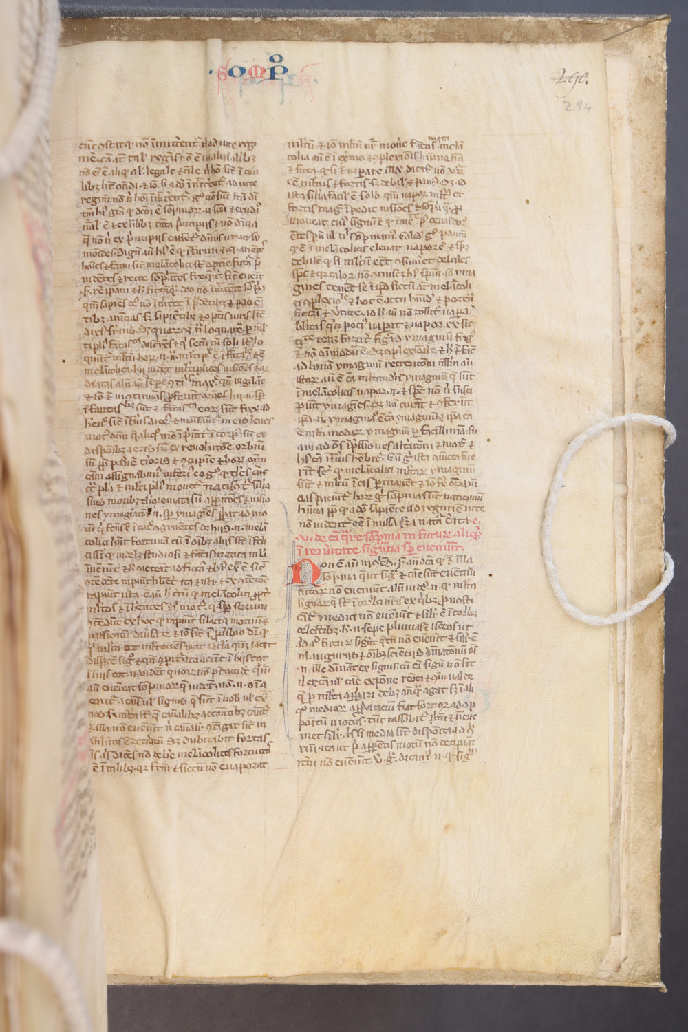 Folio 294 recto