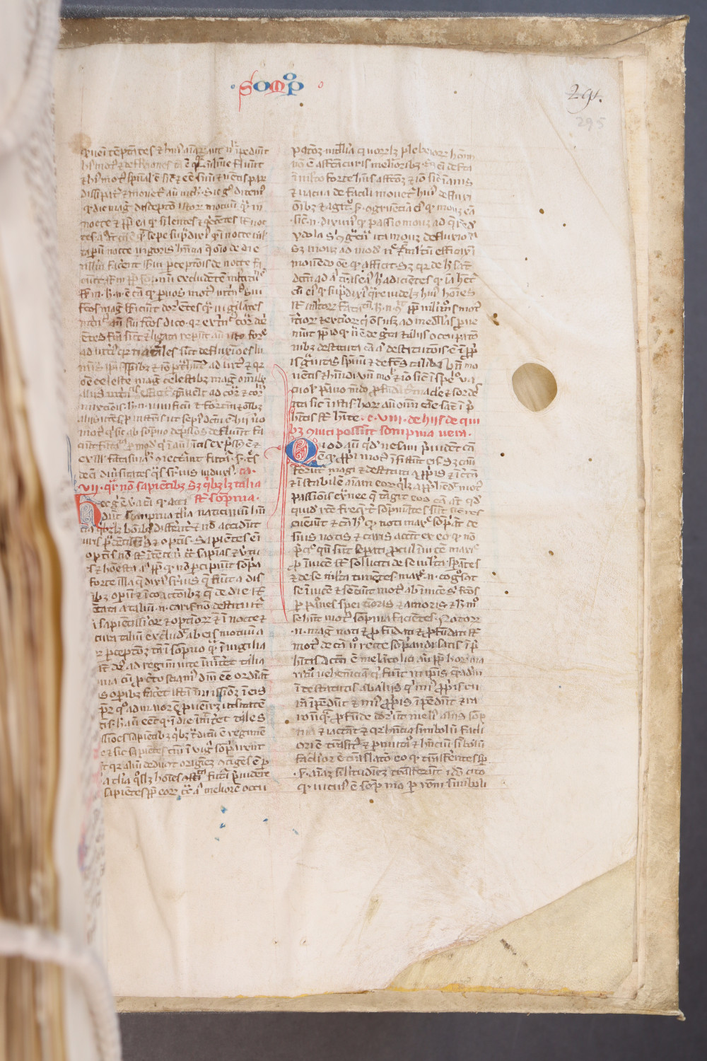 Folio 295 recto