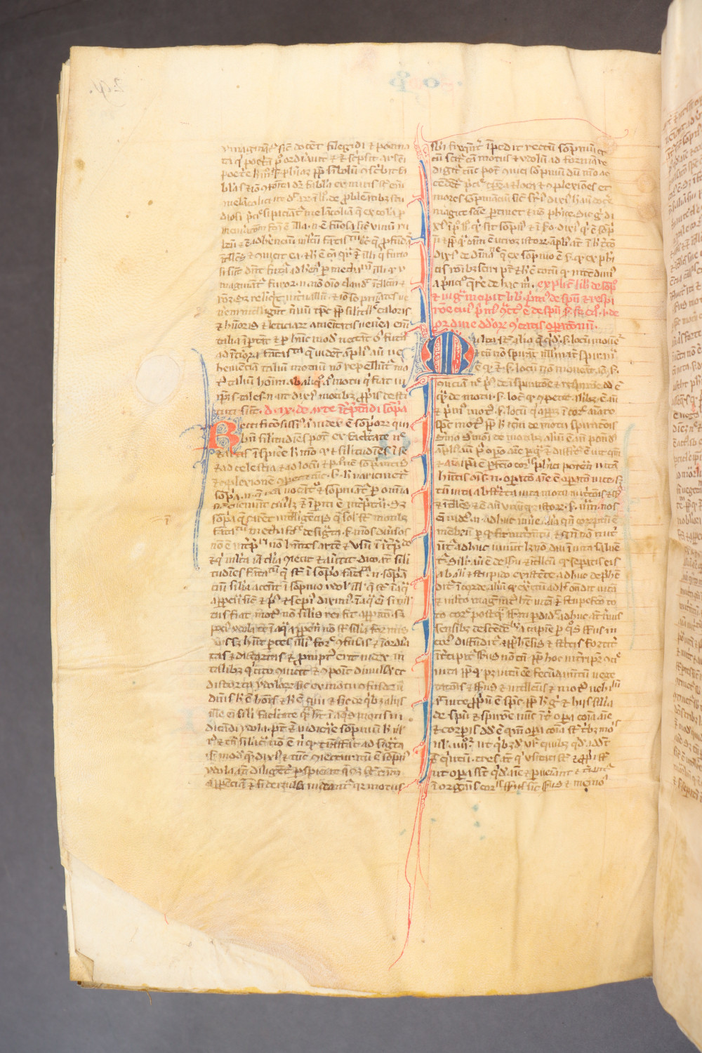 Folio 295 verso