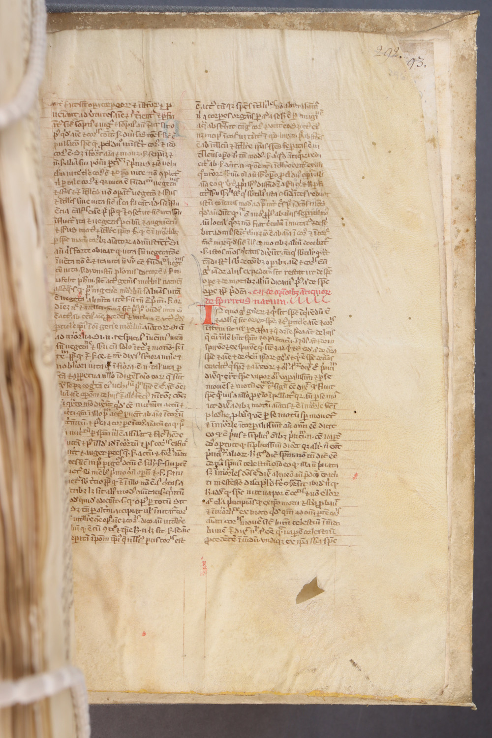 Folio 296 recto