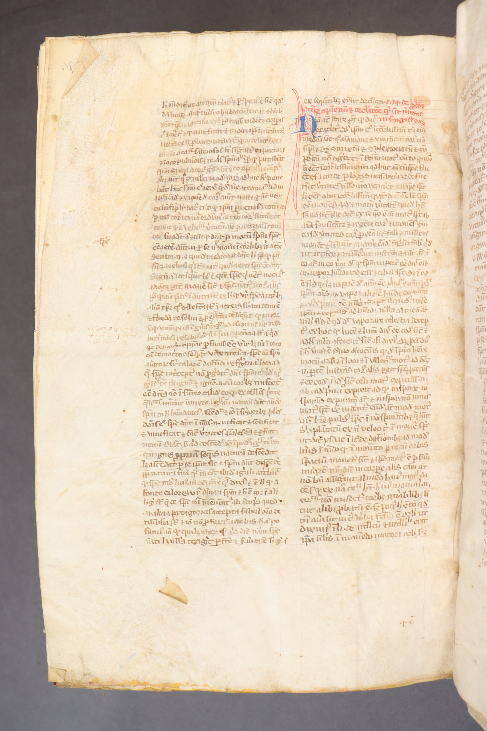 Folio 296 verso