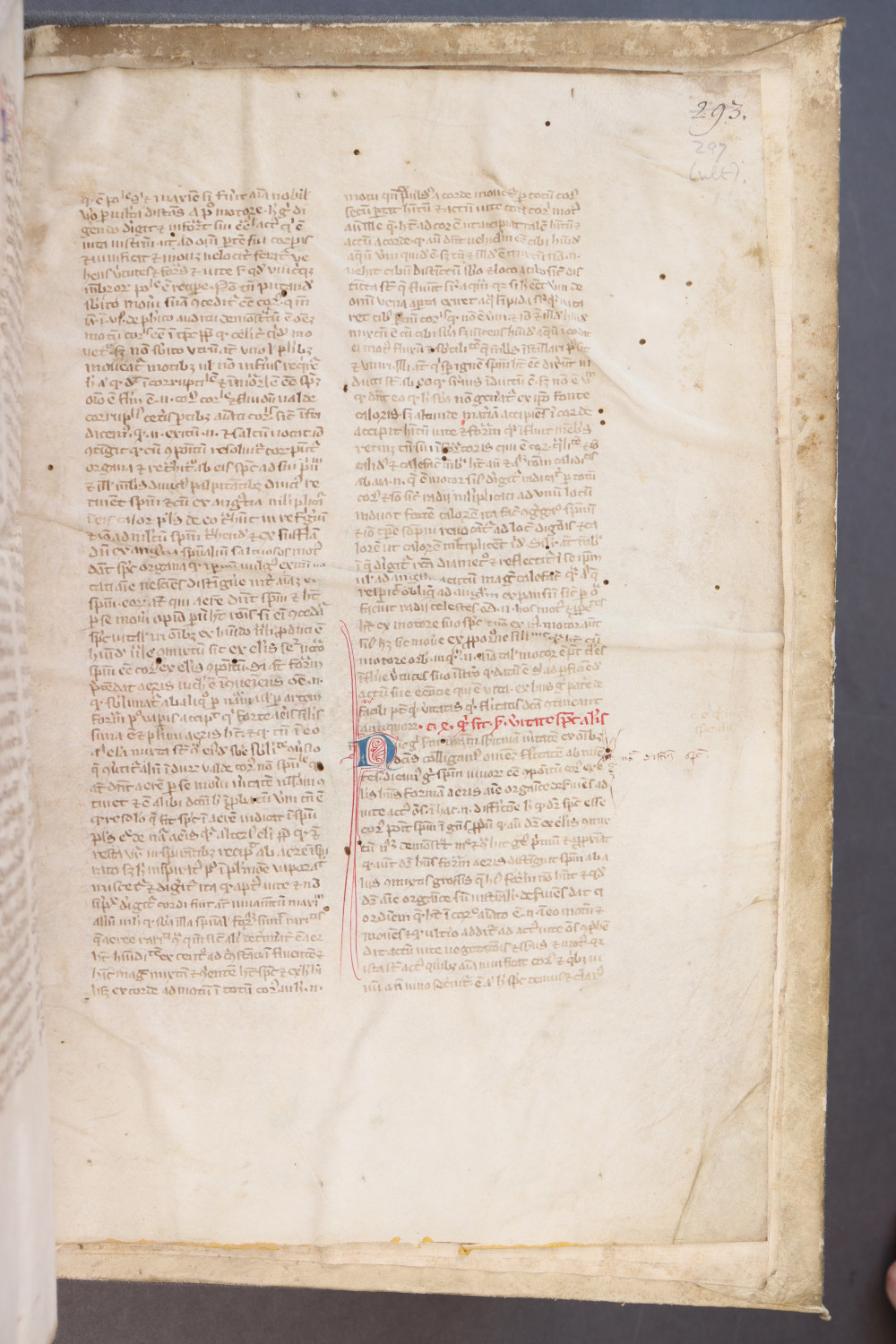 Folio 297 recto