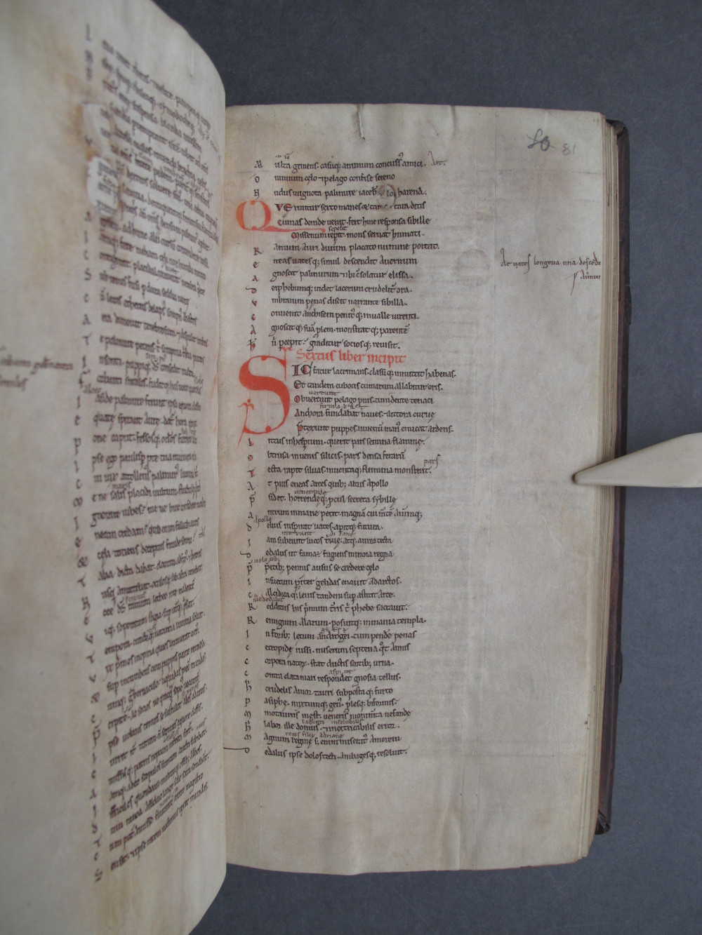 Folio 81 recto